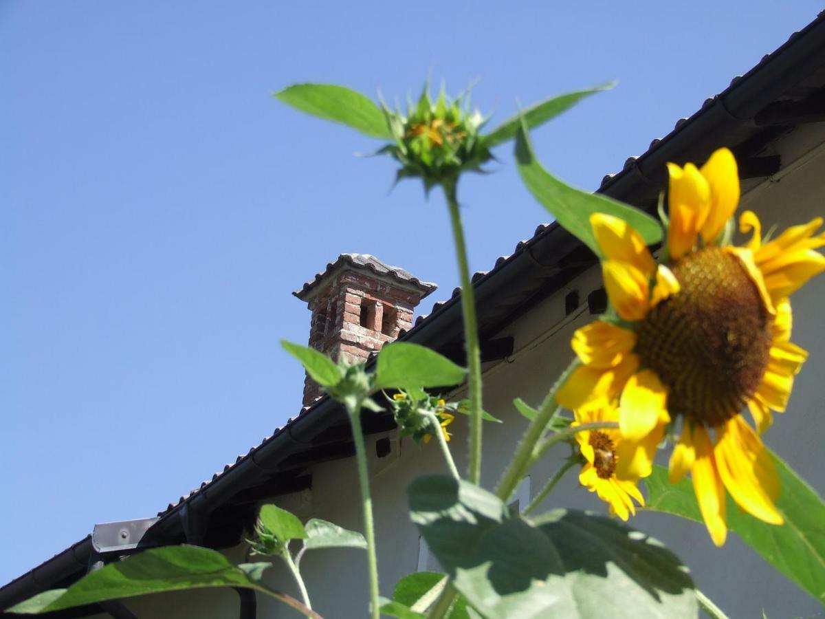 La Meridiana, Monolocale In Cascina Ristrutturata Boves Zewnętrze zdjęcie